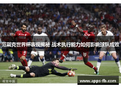 范戴克世界杯表现揭秘 战术执行能力如何影响球队成败