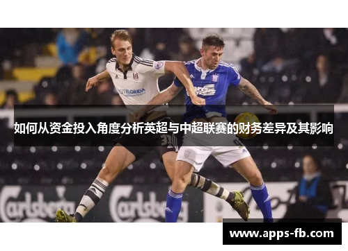 如何从资金投入角度分析英超与中超联赛的财务差异及其影响